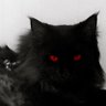 Profilbild von 安逸