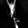 Xec(Lørraes)'s profile picture
