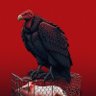 bbjkknshjene's profile picture