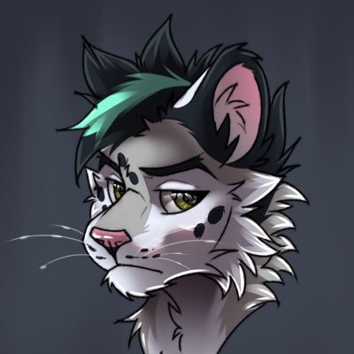 SpeedySnep ➡️FWA's profile picture