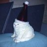 Conecat the Reluctant Reveler's profile picture