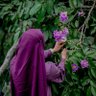 Фото профиля আয়েশা