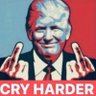 iTriggerLibtards 的头像