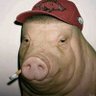 arkansas lad profil fotoğrafı