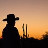 The Desert Wolf 的头像