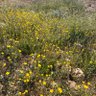 Фото профиля ابو سندس