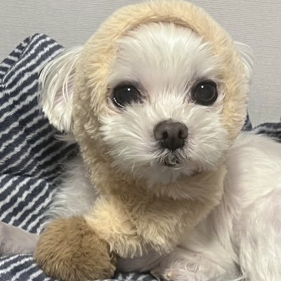 강망's profile picture