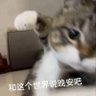 Profilbild von Charles Ye