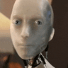 lewei's profile picture