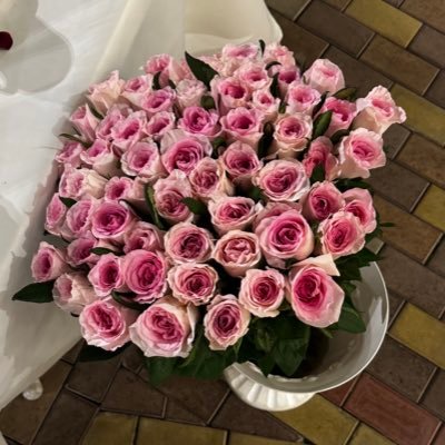 alyuqaa's profile picture