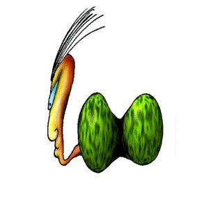 phoenixyipart's profile picture