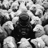 dr_OmniBuch…wspieram🇺🇦's profile picture