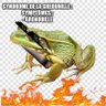 Фото профиля Grenouille Anti-Nuisiblesᵠ 🐸🥖