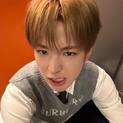 Ruri's profile picture
