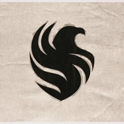 TeamFalconsGG's profile picture
