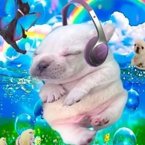 maluzete's profile picture