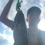 donnylongrod's profile picture