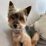 Annie Richard profil fotoğrafı