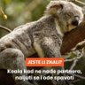 Poreski_obveznik's profile picture