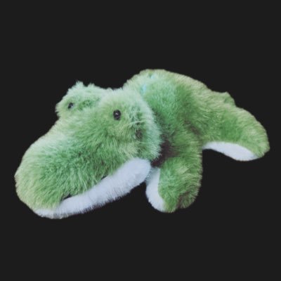 上白石 萌歌's profile picture