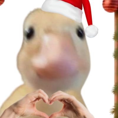 Khoacky's profile picture