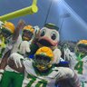 Dan McDuck's profile picture