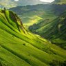 Фото профиля perinatrla