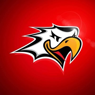 VaasanSport's profile picture