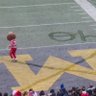 Фото профиля Buckeye Mike in H-Town