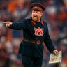 All Things Auburn's profile picture