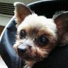 caccio's profile picture