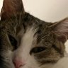 enerbé's profile picture