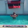 Profilbild von DTavares16🔴⚫ᶜʳᶠ