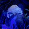 Kai's profile picture