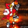 Louisvillefanatic's profile picture