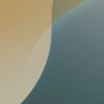 Urbana Ripple 的头像