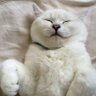 Starr profil fotoğrafı