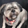 Motif's profile picture