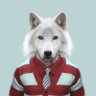Profilbild von chatbot