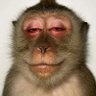 Фото профиля Jonathan