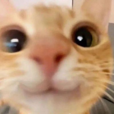 fanatiqueGirl2's profile picture