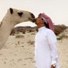 نكد 的头像