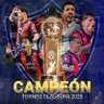Фото профиля €¡€L©₪ ₱u®£T₤ 🇵🇾❤💙🇵🇾