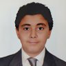 م.ناصر عبدالسلام's profile picture