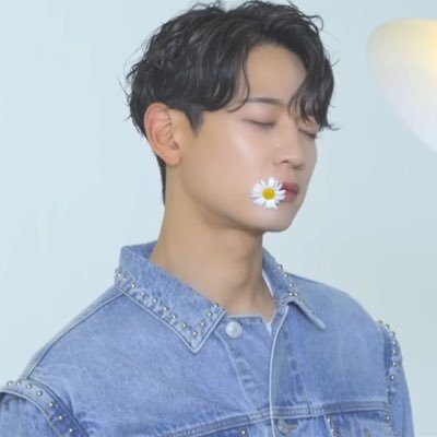 shineefiles's profile picture