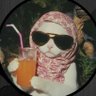 Profilbild von gabizinha 🍋🟩 viu o aespa