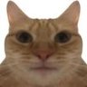Zondersuikerz's profile picture