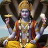 Rajesh Shukla's profile picture