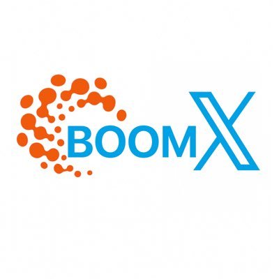 BOOM X's profile picture