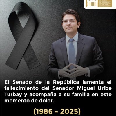 Javier Bermudez's profile picture